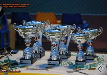 II Campeonato Andaluz Freestyle – 2013